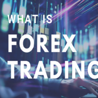 Forex Markets Using ThinkMarkets