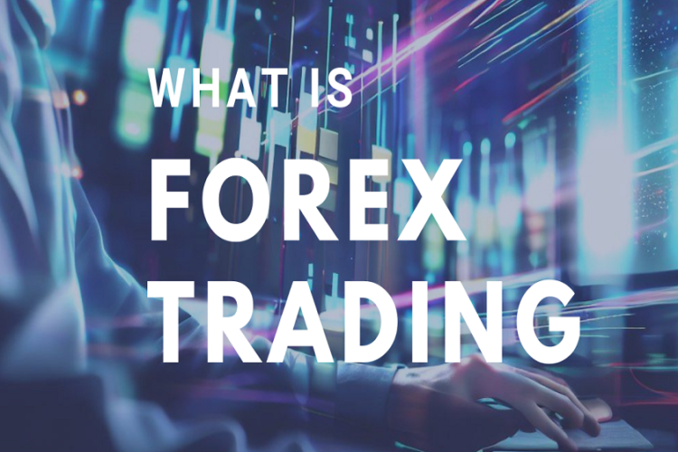 Forex Markets Using ThinkMarkets